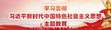 学习贯彻习近平新时代中国特色社会主义思想主题教育